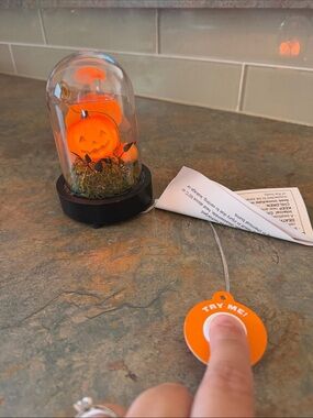 Small Light Up Pumpkin Patch Globe NWT